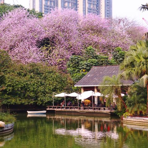 广州市最好的区是什么