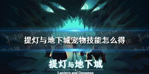 提灯与地下城宠物怎么快速到一世