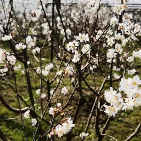 萧山2月份天气的长尾关键词有什么