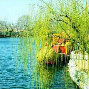 济南市的柳树有哪些名字