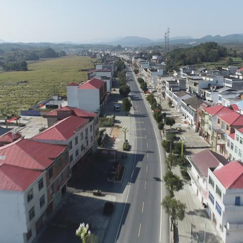 合肥市巢湖市有什么乡