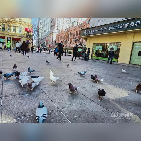 哈尔滨天气预报15相关长尾关键词有哪些