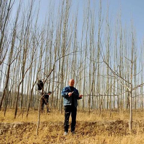 甘肃省兰州市榆中县有几个镇？