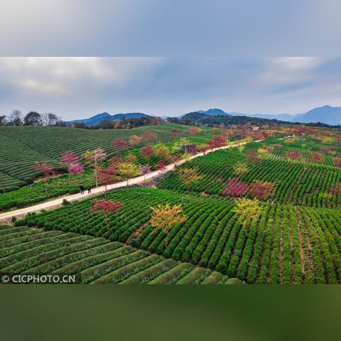 宁波市海曙区什么县