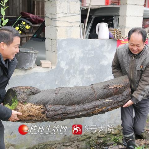 长沙市白竹村是哪个区的