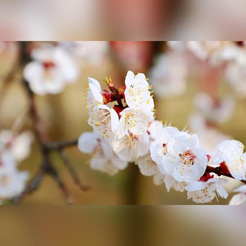 临沂市哪里有山