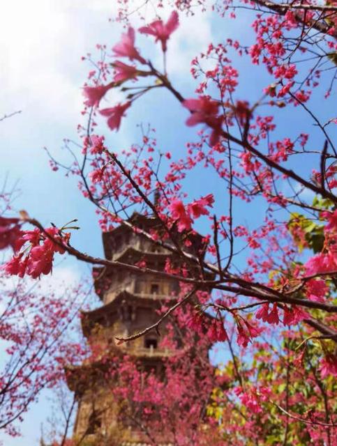 3月再见4月你好的正能量句子大全