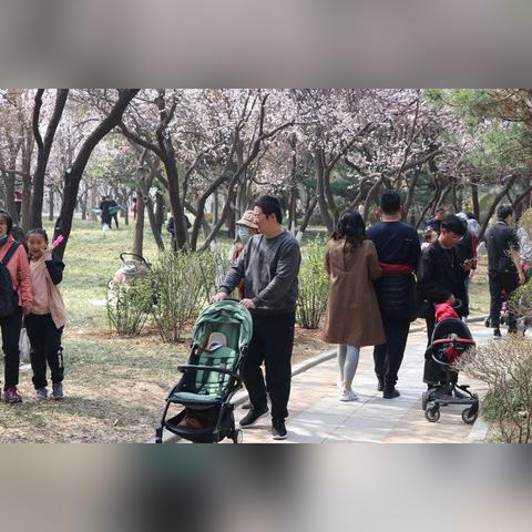 济南玉兰广场公寓相关长尾关键词有哪些