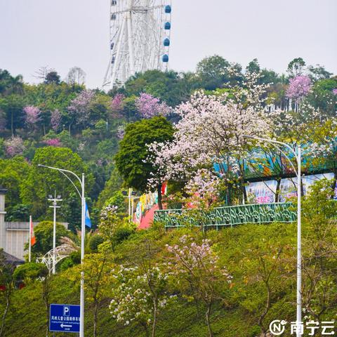 南宁市南湖小区怎么走