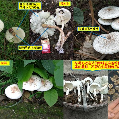 重庆和云南哪个热一些