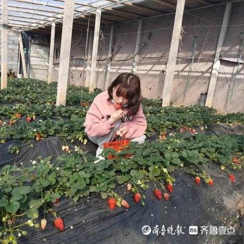 胶州明天天气的长尾关键词有哪些