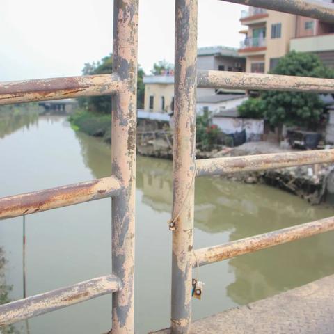 东莞市哪里有渡轮