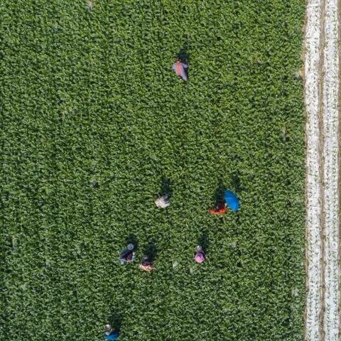 重庆铜梁原乡郡房价的长尾关键词有哪些