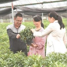 福建资产评估师的相关长尾关键词有哪些