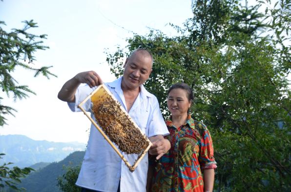 环境保护科学论文文献综述范文如何写好一篇科技论文的摘要