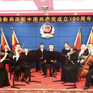 植物大战僵尸 融合版（植物大战融合版僵尸，一场别开生面的冒险之旅）