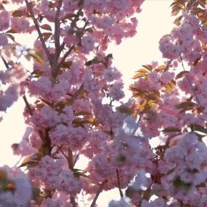 兰州市宝宝乐园在哪里啊