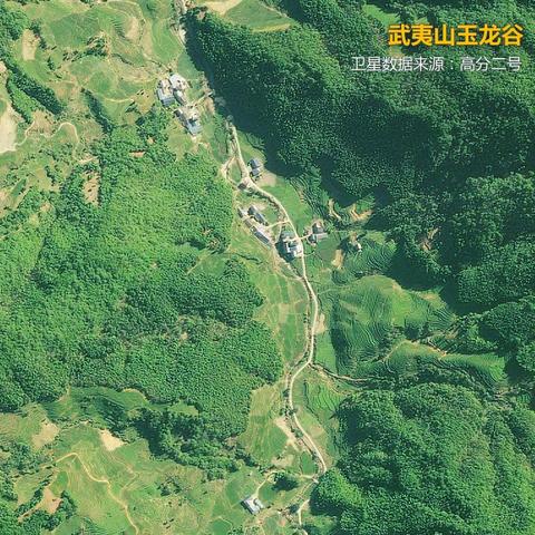 为什么福建是最绿的省