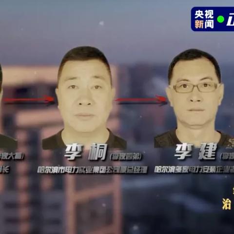 【哈尔滨今日招标信息】2025年3月31日哈尔滨有哪些招标信息