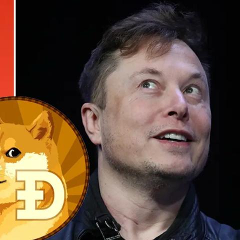 doge狗(doge狗狗币)