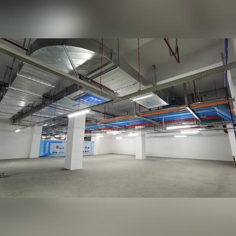 武汉市四医院哪个分院好