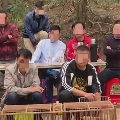南宁单人骑行好去处？