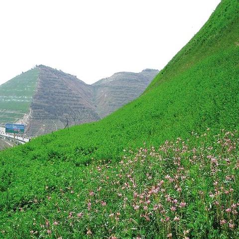 兰州绿色市场租房的相关长尾关键词有哪些