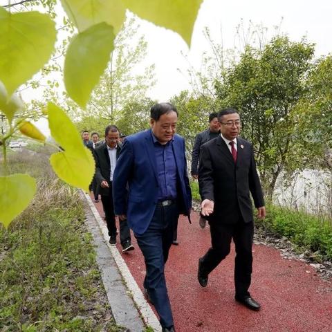 合肥到碧水相关长尾关键词有哪些