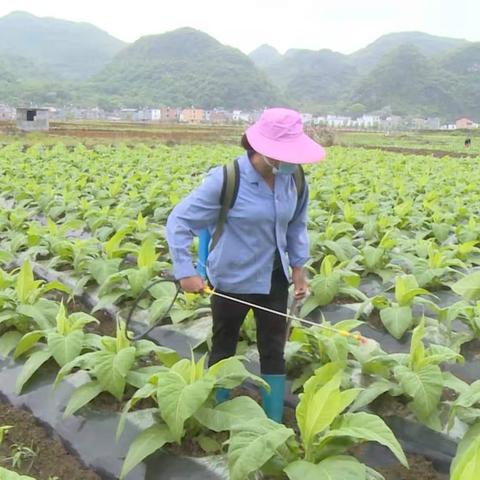 讧永天气的长尾关键词有哪些
