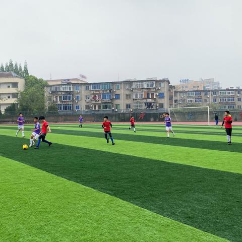 足球推荐（足球推荐，带你领略精彩纷呈的足球世界）