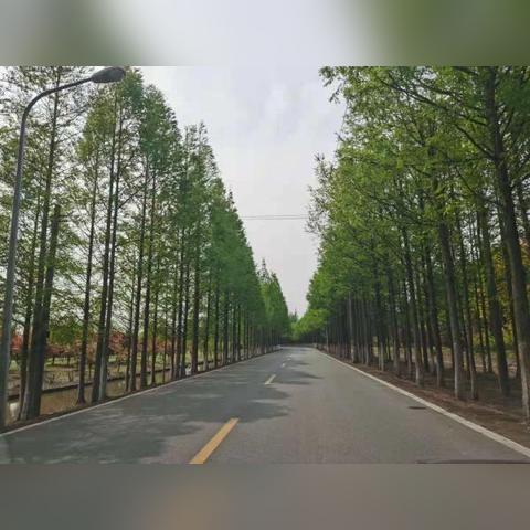 上海有哪些岛屿好玩的