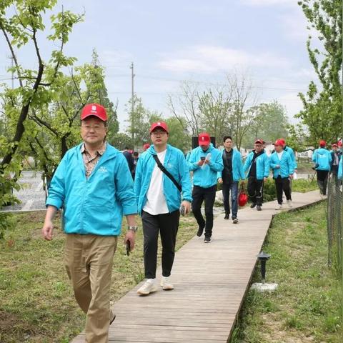 合肥市委统战部相关长尾关键词有哪些