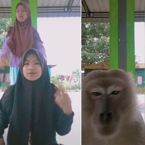 印尼tiktok火爆吗