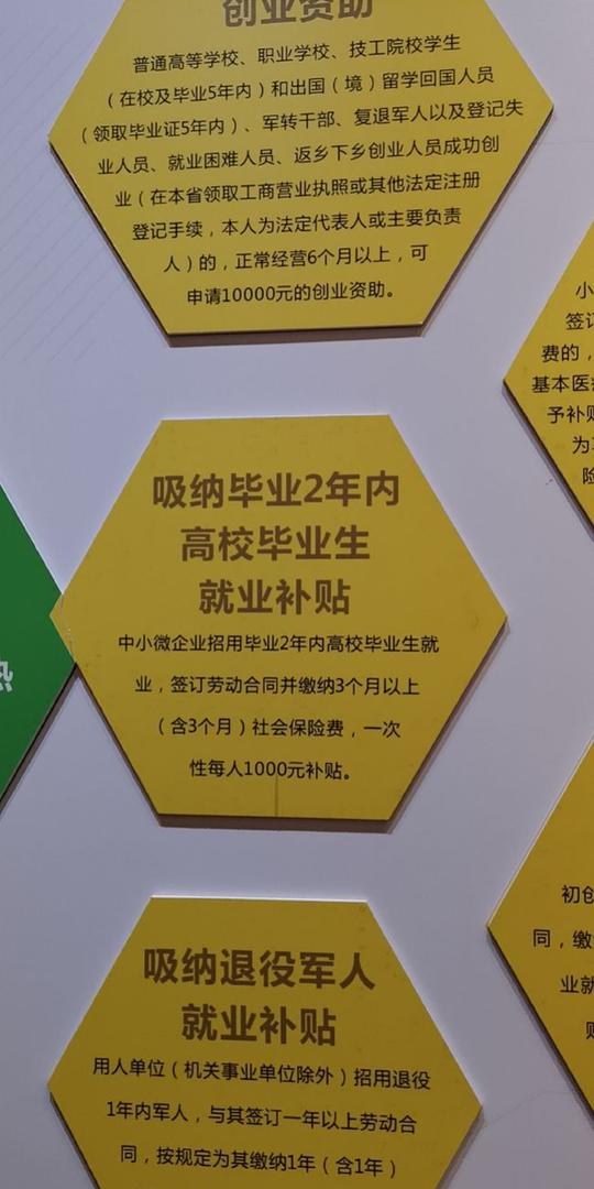 孵化港澳创业项目75个！中山多措并举吸引港澳青年创客
