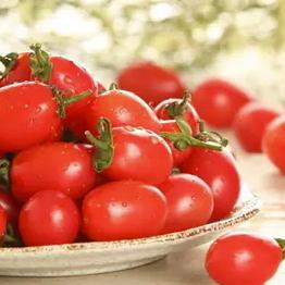 福建西梅怎么样