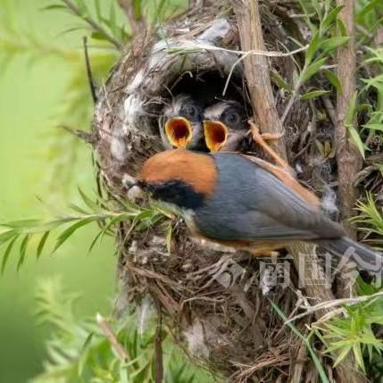 临沂市河东一店的长尾关键词有什么
