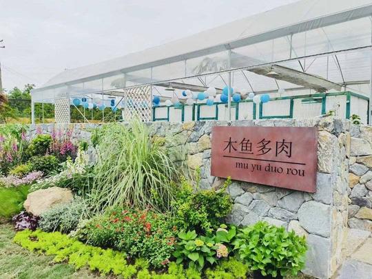 可以“吃”的多肉花园，彭州仅此一家