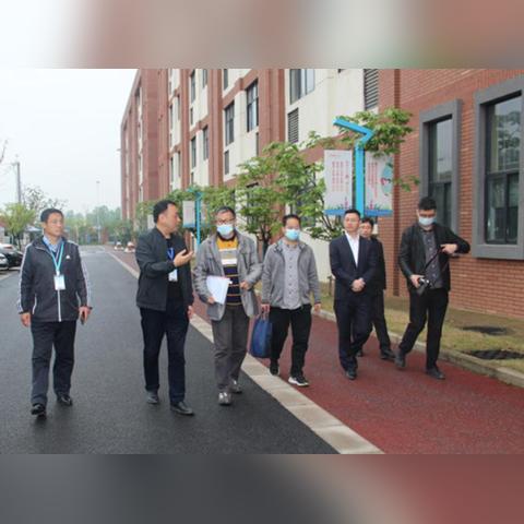 合肥市哪个学校好