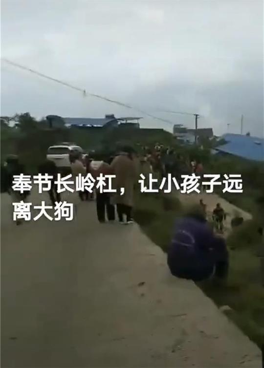 重庆8岁男童上学途中被狗咬死，村民：狗主人养了三只狗防贼