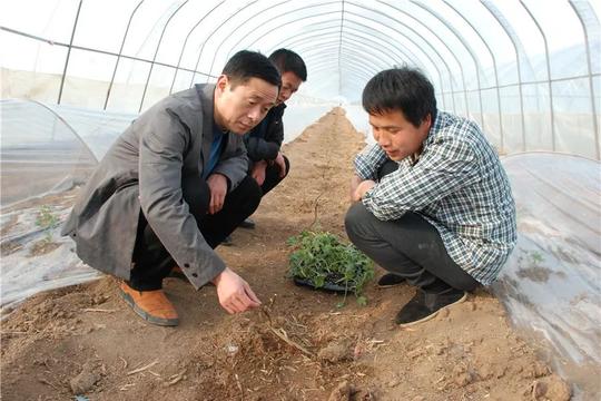 【教育整顿|英模教育】在扶贫第一线淬火加钢——河南省郸城县法警朱景明驻村扶贫纪实