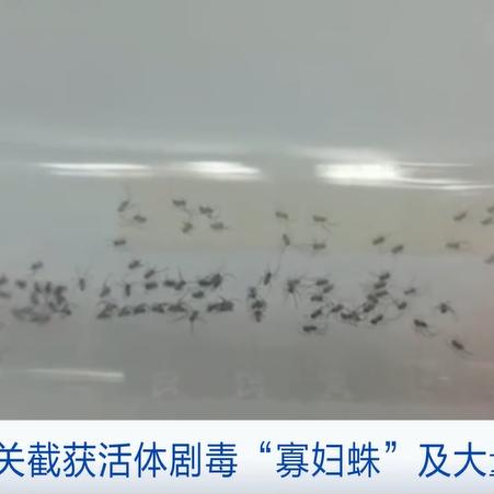 南通仿树皮栏杆厂家地址长尾关键词有什么