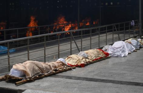 印度新冠
 /印度新冠疫情最新消息