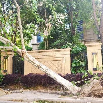 南通市人囗多少