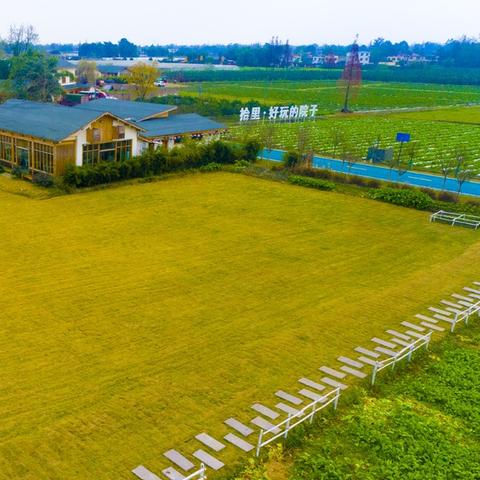 成都市主减区新楼盘房价的长尾关键词有什么