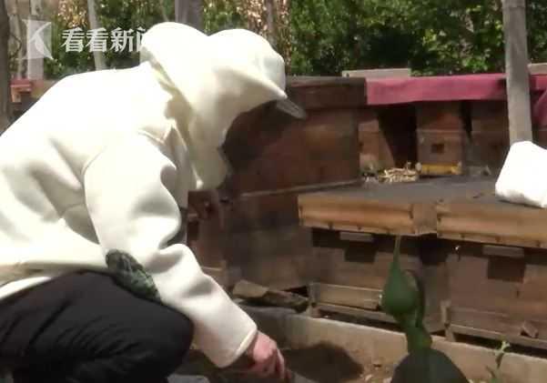 上海白领体检异常率99%是真的吗