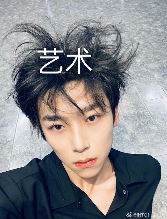 张嘉元晒“艺术”自拍，头发凌乱似“鸟窝”获赞可爱