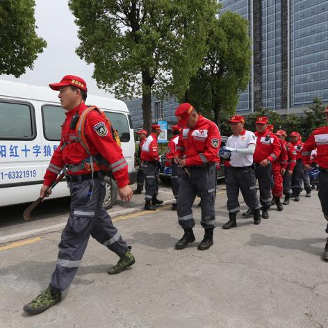 杭州市哪个区能养德牧狗