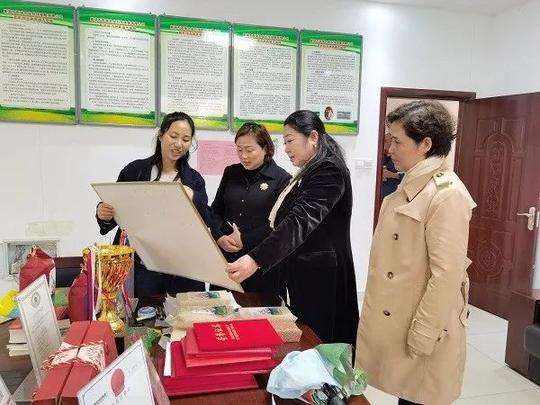 合肥市妇联有序实施促进妇女健康和创业扶持专项资金项目
