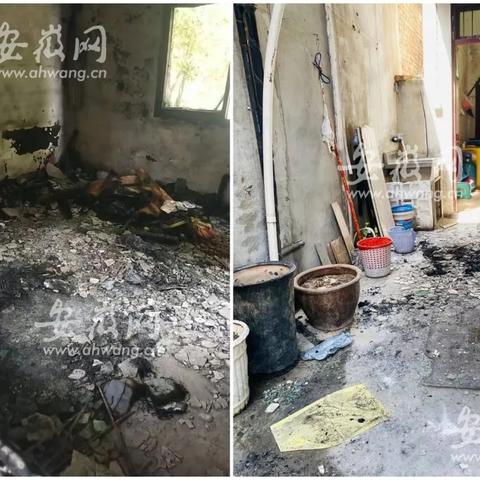 合肥跑外卖哪个平台比较适合新手？