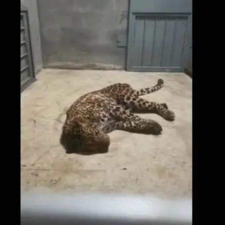 杭州病毒瞒报的相关长尾关键词有哪些